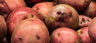 ⏰ червона / рожева картопля - для варіння або смаження?