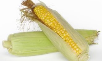 ⏰ як варити стару кукурудзу і скільки часу-правильний спосіб простими словами