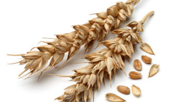 ⏰ як варити пшеницю? І скільки часу? Всі способи зварити крупу, правила варіння і корисні поради